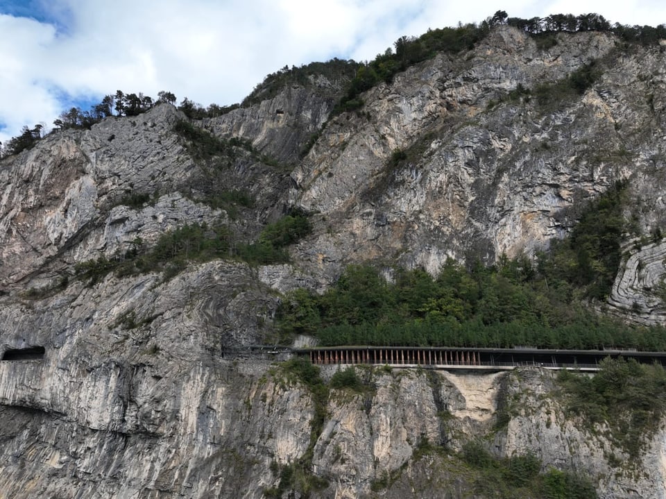 Berglandschaft mit Bäumen und kleinem Eisenbahntunnel.