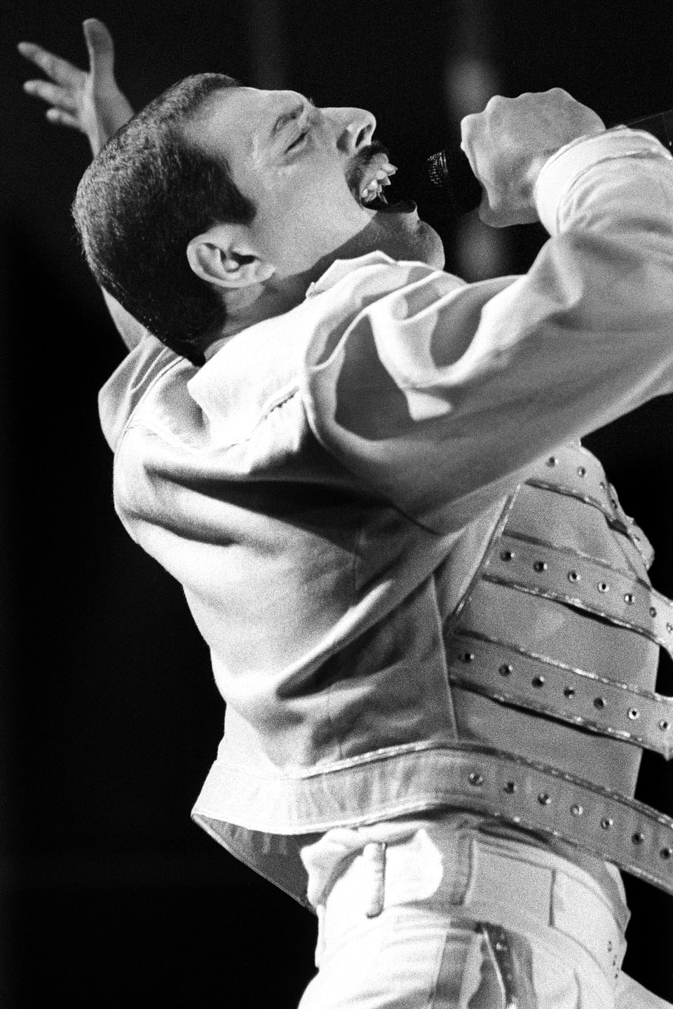 Freddie Mercury singt mit typischer in die Luft gestreckter Hand ins Mikrofon.