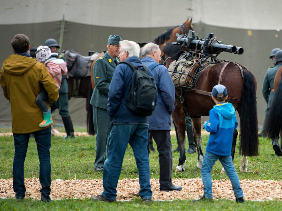 Besucher betrachten aus der Ferne Pferde und Soldaten.