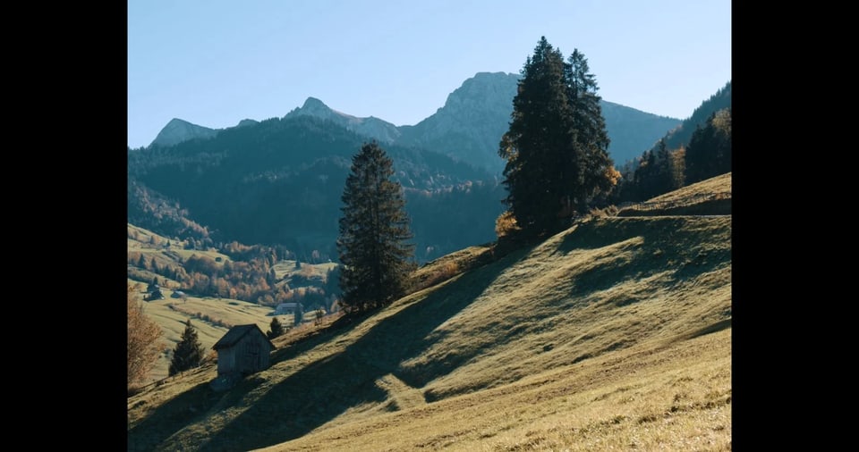 Idyllische Landschaft mit Wald und Bäumen. 