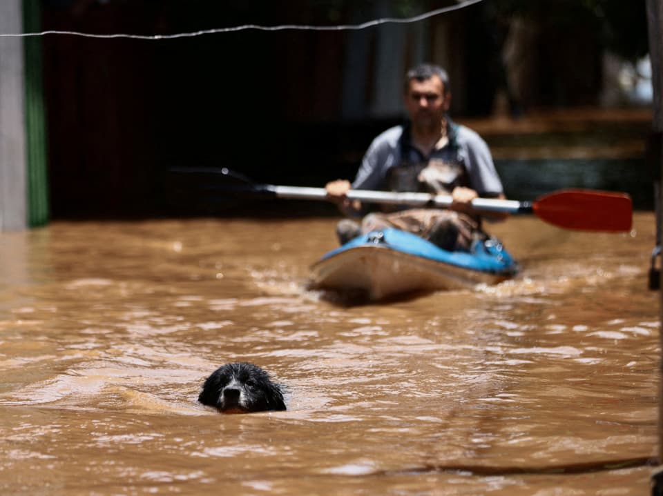 Ein Hund schwimmt vor einem Mann, der sich mittels eines Paddelbootes fortbewegt.