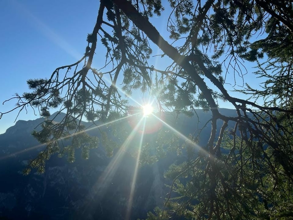 Die Sonne erscheint über einem Berg, davor ein Ast.