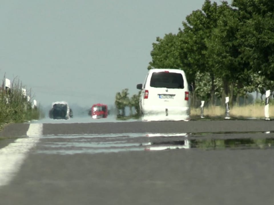 Ein Auto und zwei Busse auf einer Strasse und Bäume am Strassenrand.