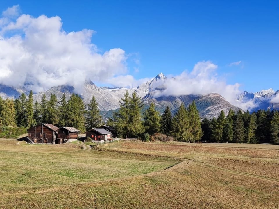 Berge mit Wald im Vordergrund und Holzhütten.