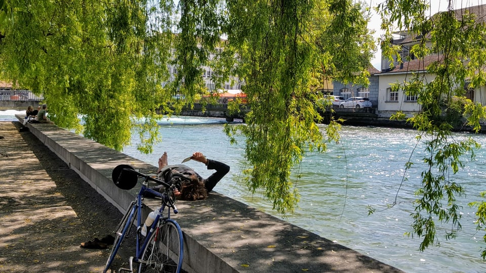 Am Quai im Schatten von Bäumen.