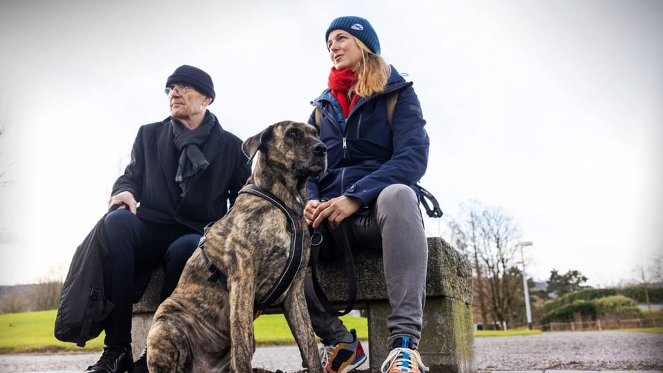 Spaziergang mit Vierbeiner - Treffen sich ein Hundeskeptiker und eine  «Hündelerin» - Kultur - SRF