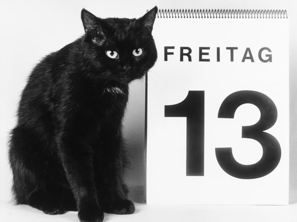 Schwarze Katze neben Kalenderblatt mit Freitag dem 13.