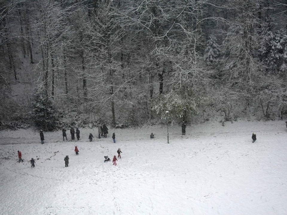 Menschen spielen im Schnee vor einem Wald.