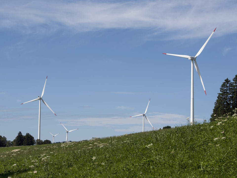 Windräder auf einer grünen Wiese unter blauem Himmel.