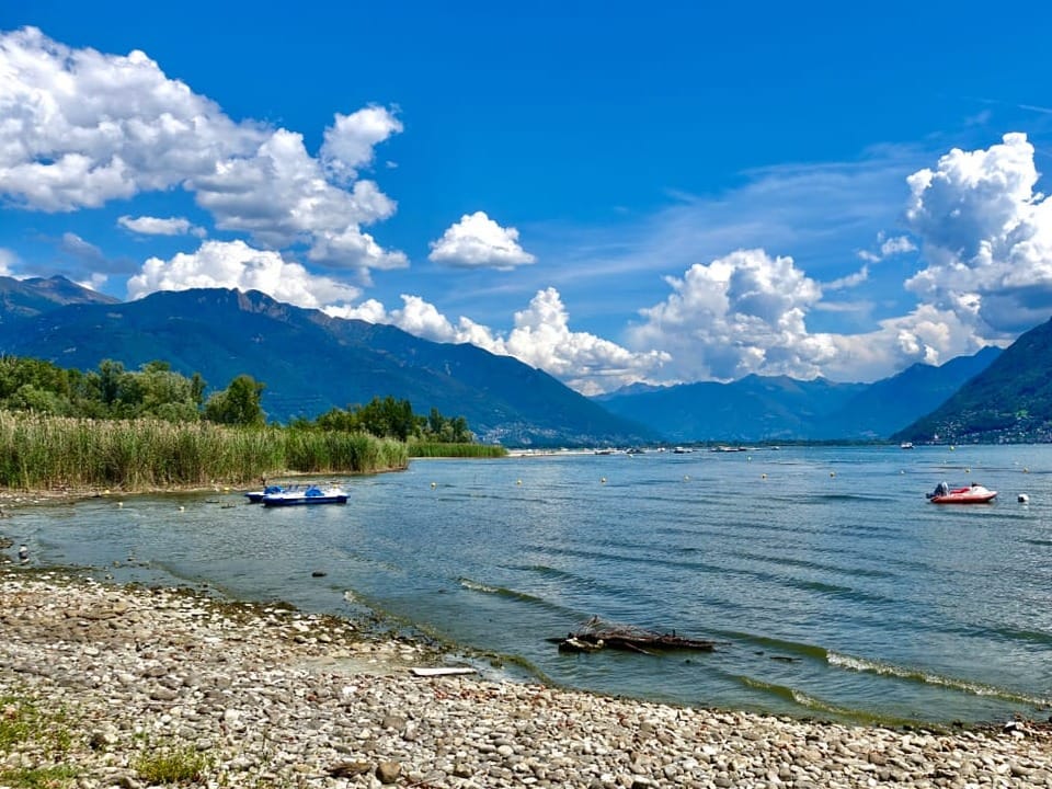 Blick auf eine Kiesbank, dahinter der See.