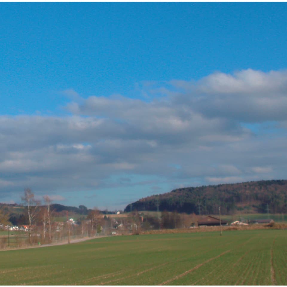 Längliche Wolkenfelder erstrecken sich über einem Wald.