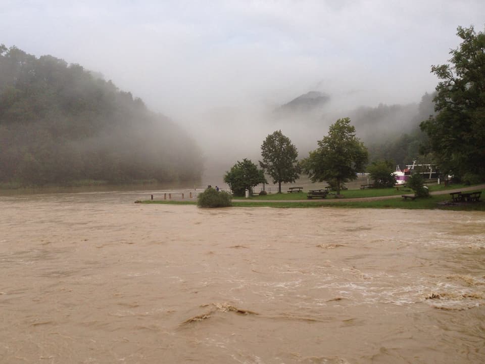 Fluss mit hohem Wasserstand und braunem Wasser