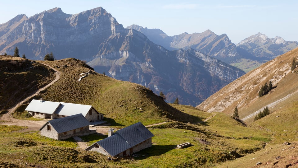 Формат alp чем открыть