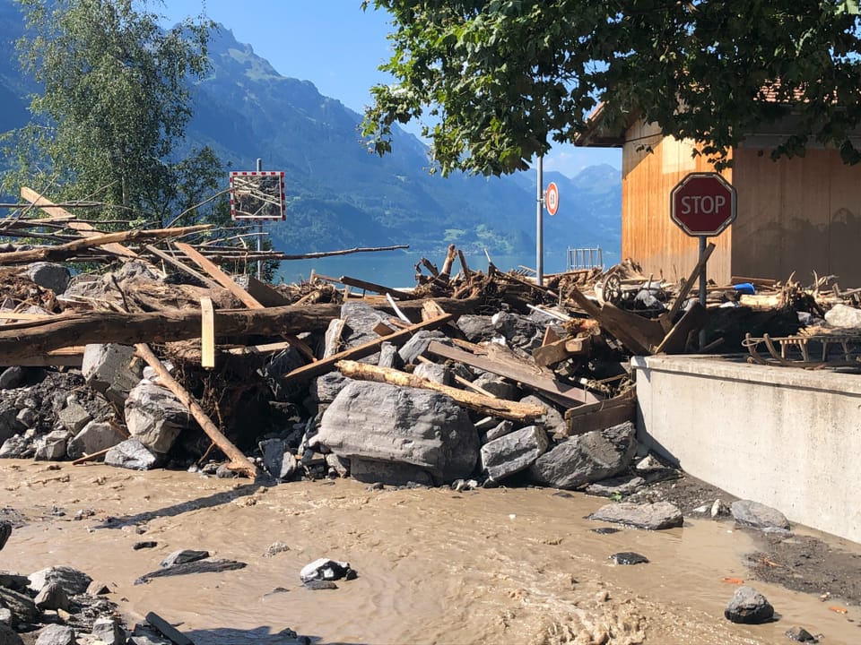 Ein Haufen aus Steinen und Baumstämmen, davor braunes Wasser.