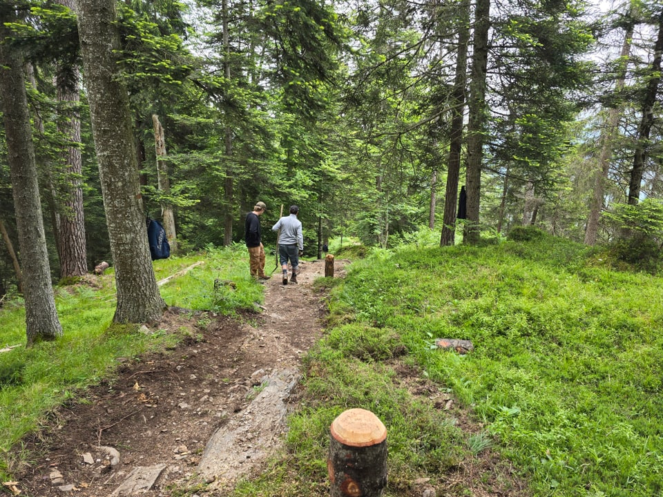 Die Kursteilnehmer werden angeleitet wie ein Wanderweg optimieren können damit Bikes und Wanderer konfliktfrei bleiben.