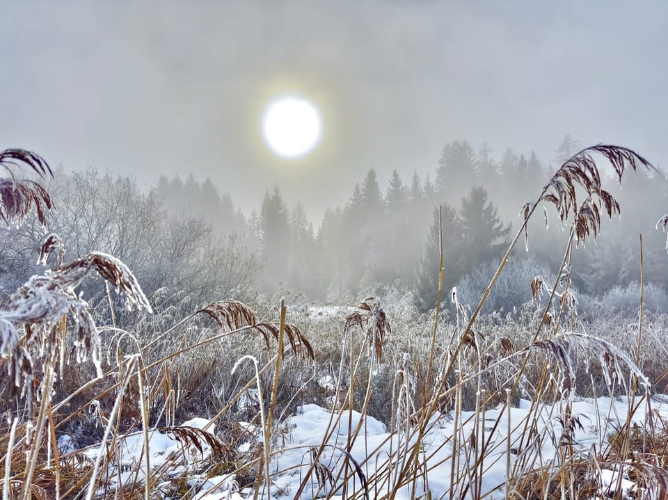 Raueis Und Raureif Meteo Srf