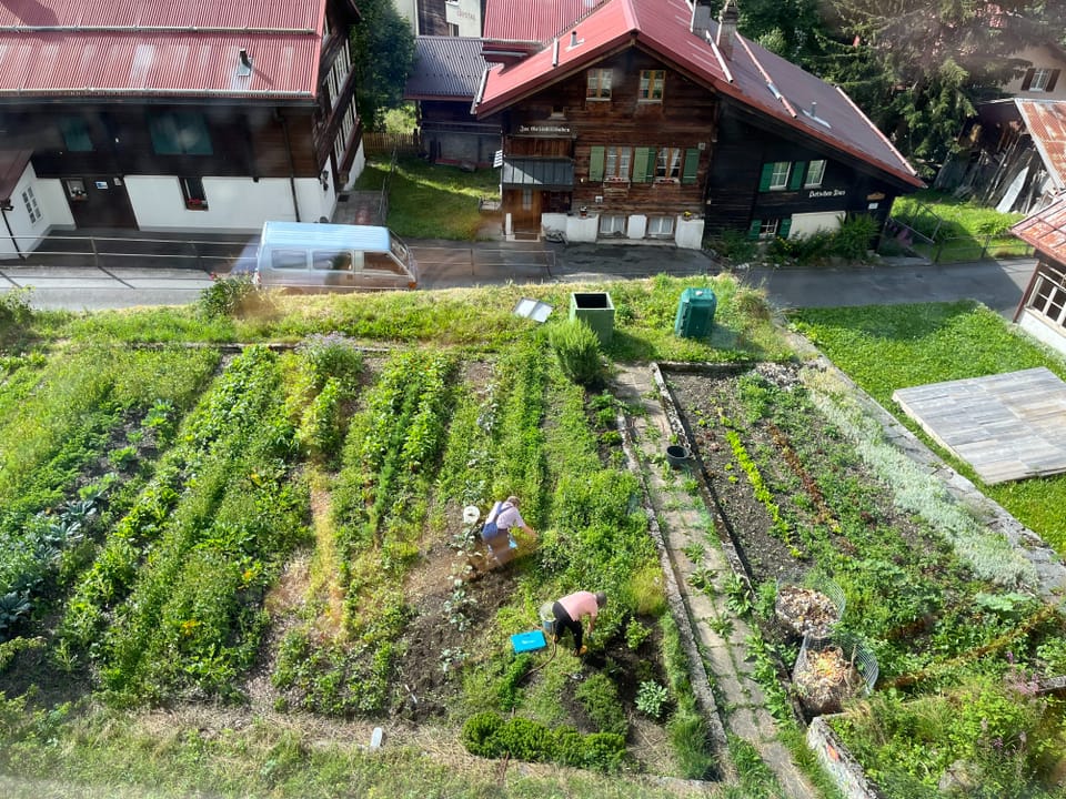 Blick aus dem Hotel auf den hoteleigenen Garten.