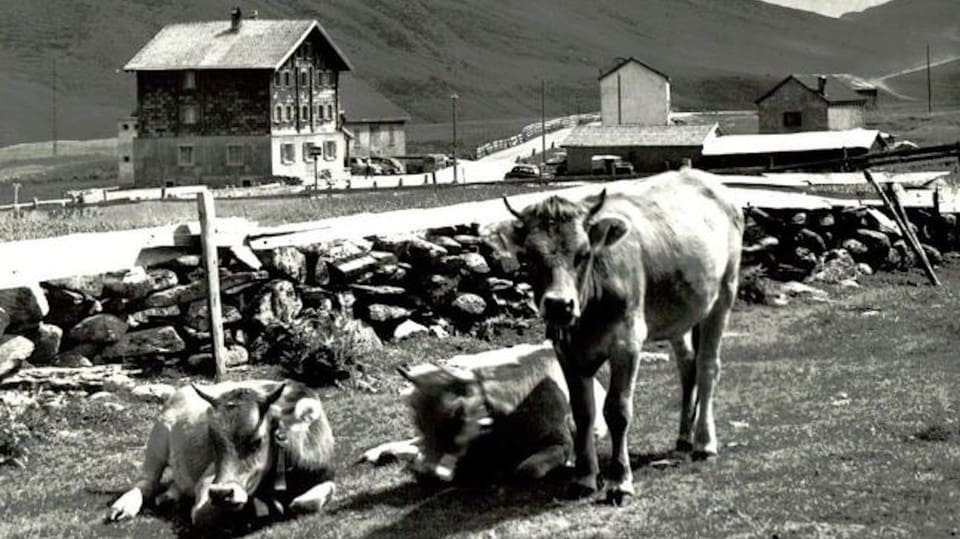 Lukmanierpass in Graubünden