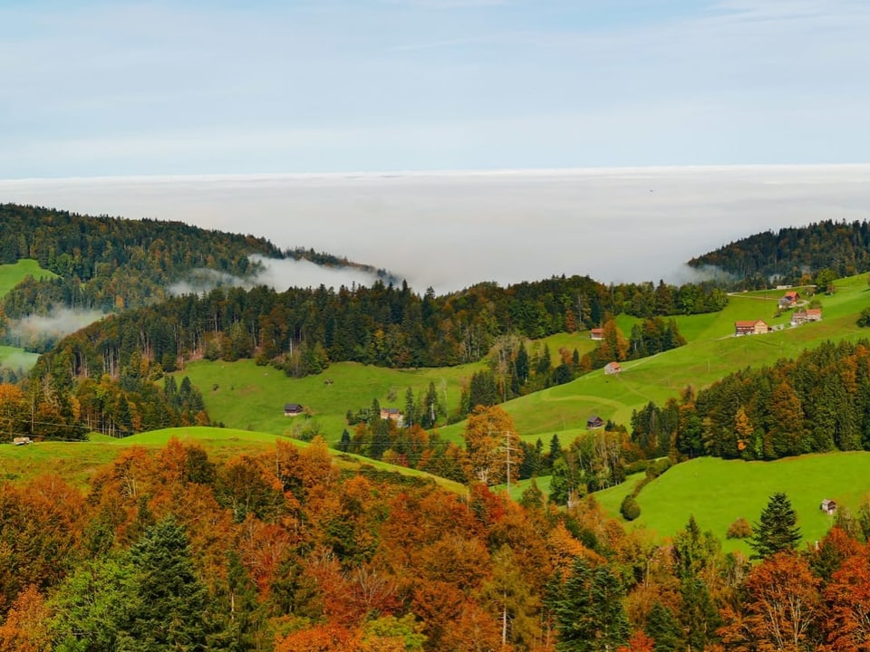 Landschaft im Herbst mit grünen Hügeln und Nebel.