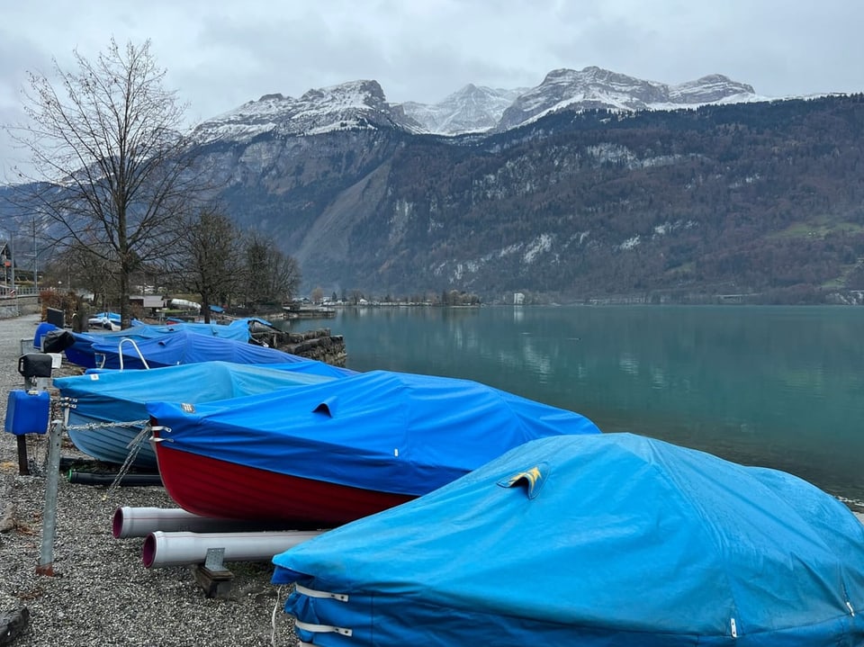 Eingepackte und befestigte Boote am See mit schneebedeckten Bergen im Hintergrund.