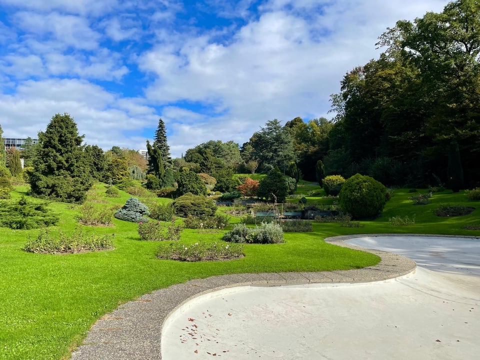 Landschaftsgarten mit Bäumen und grünem Rasen unter blauem Himmel.