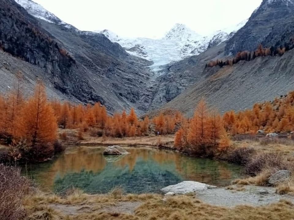 herbstliche Lärchen mit Bergsee