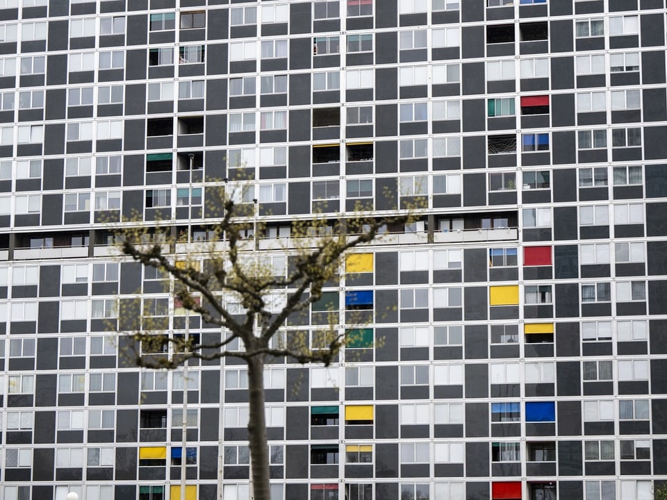 Hochhausfassade mit quadratischen Fenstern und Baum im Vordergrund.