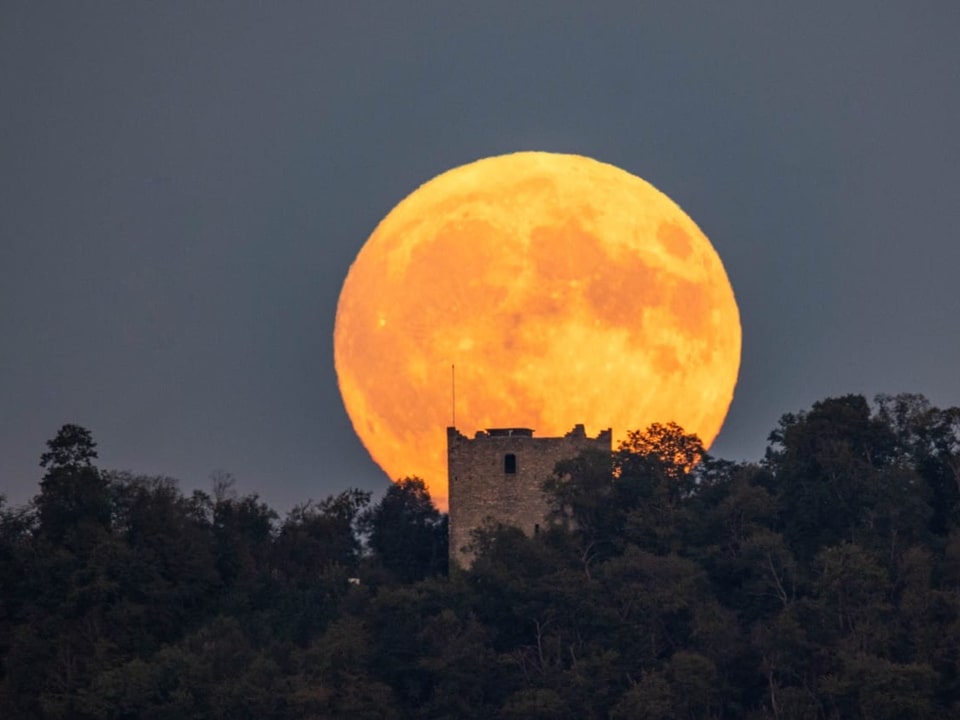 Vollmond hinter Burgruine und Bäumen.