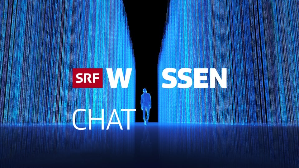 Logo des Wissens-Chats