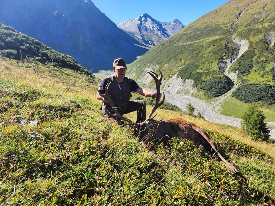 Ein grosser Hirsch