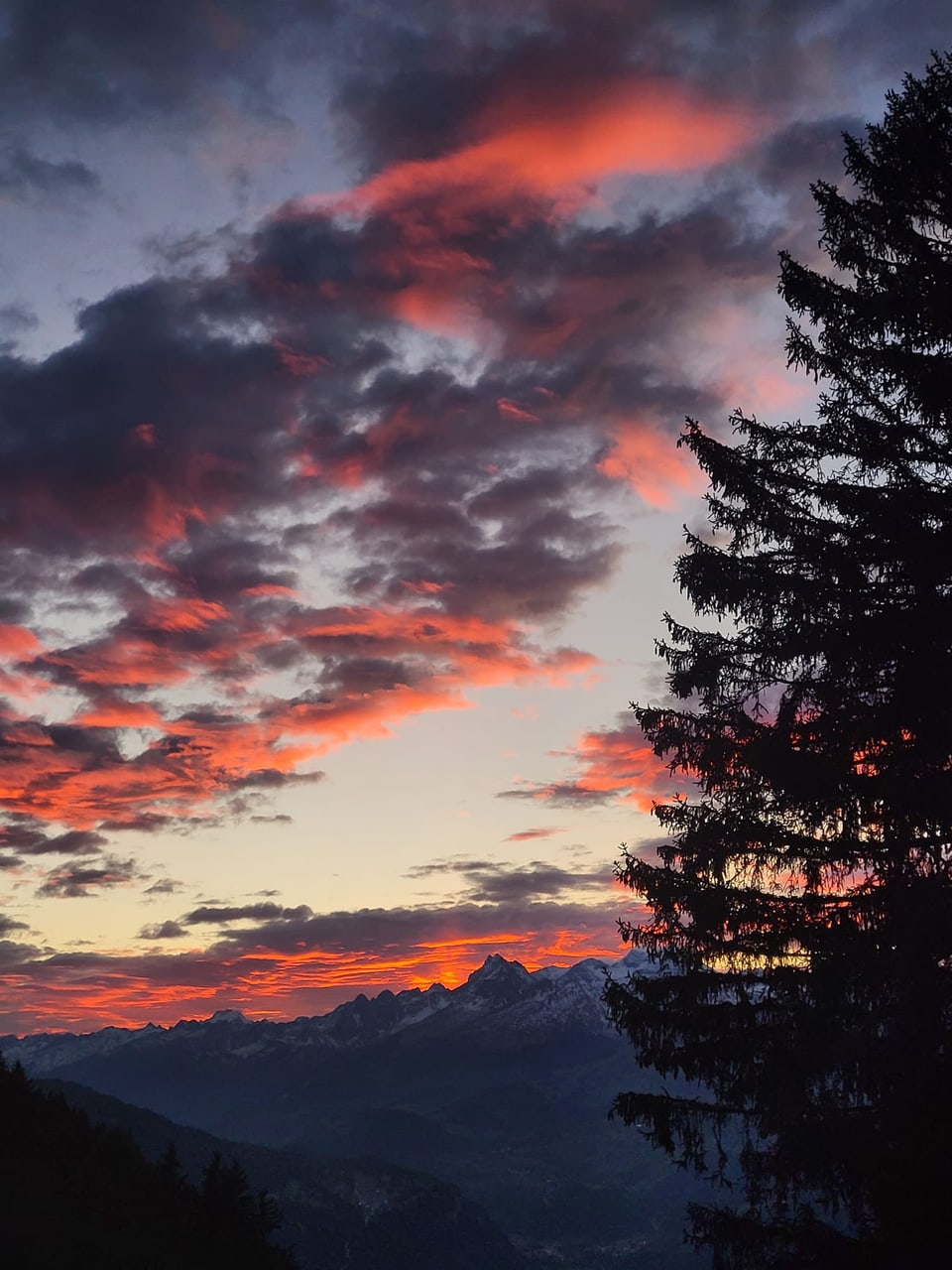 Berglandschaft bei Sonnenuntergang mit roten Wolken und Bäumen.