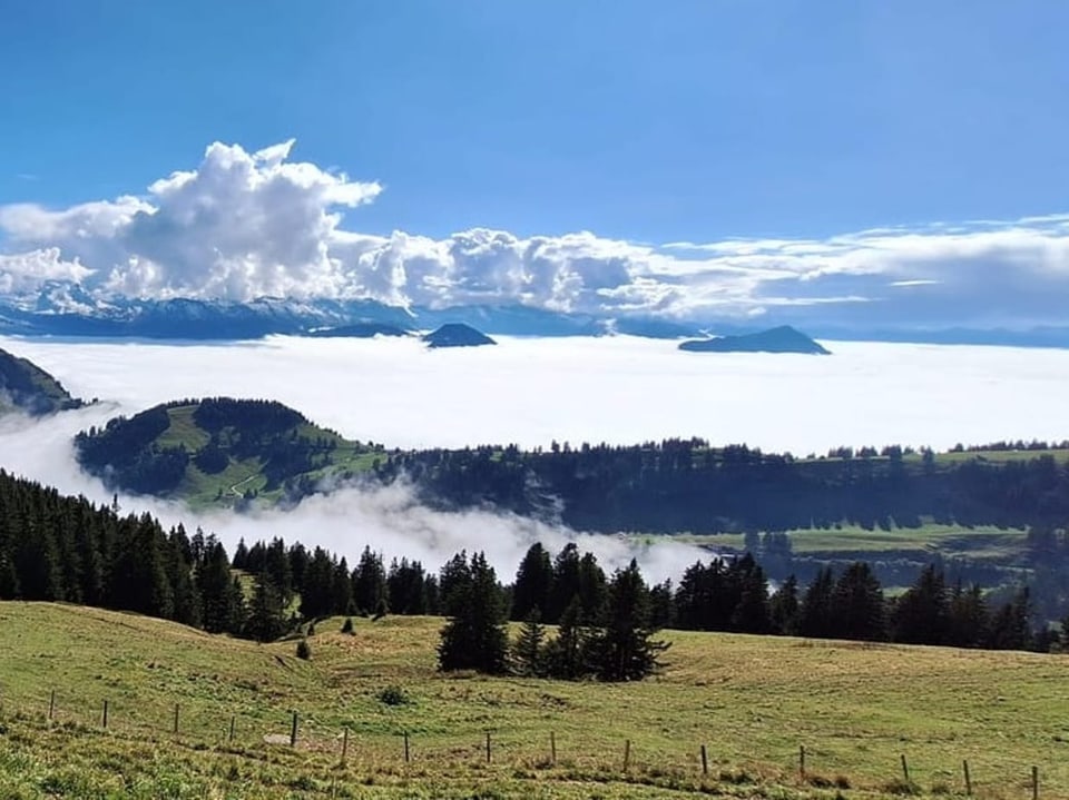 Hügellandschaft mit Wolkenmeer und Berggipfeln im Hintergrund.