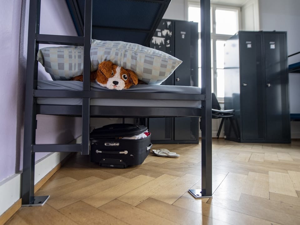 Stockbett mit Stoffhund und Kissen im Schlafsaal, darunter ein Koffer.
