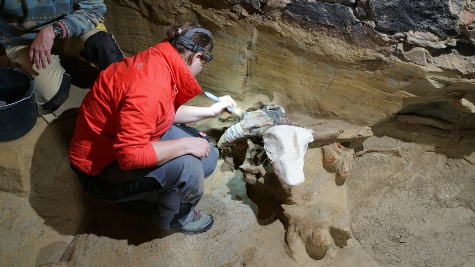 Archäologe gräbt Knochen in einer Höhle aus.