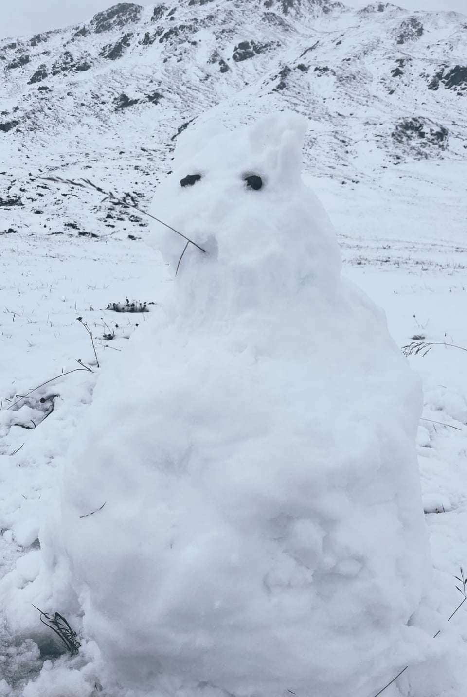 Ein Schneemann auf dem Pass.