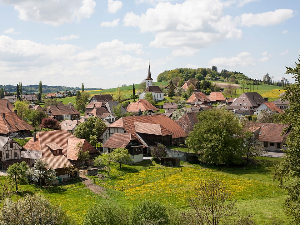 sanft-hügelige Landschaft mit Häusern. 