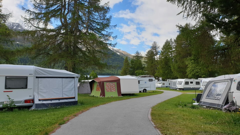 Campadi Silvaplauna - ina senda maina tras las rulottas e las tendas che stattan tranter ils larischs sin il prà.