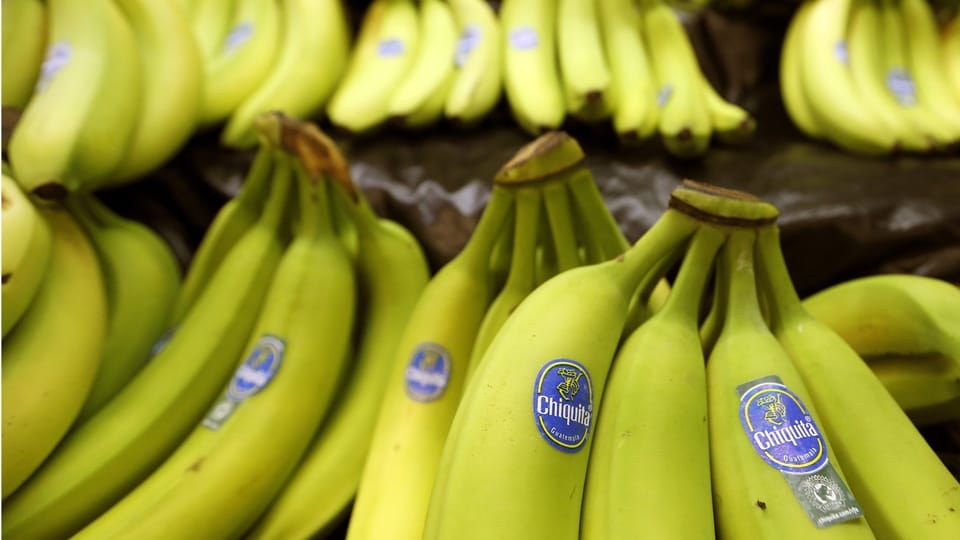 Bananen mit Chiquita-Aufkleber