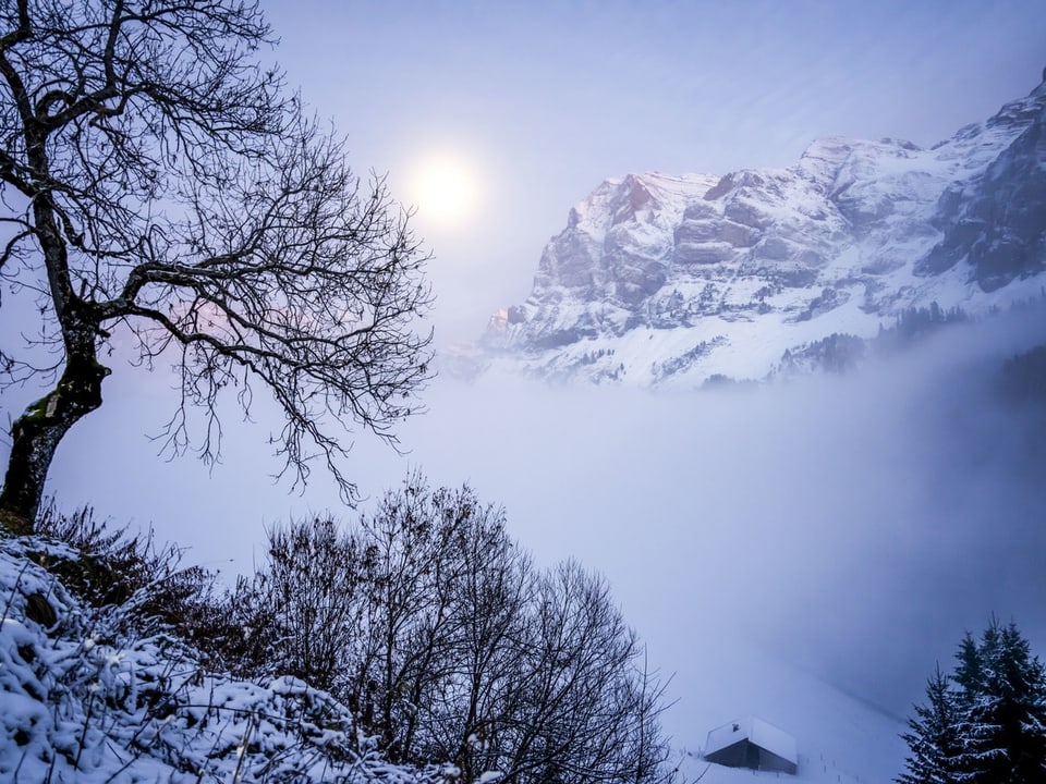 Winterlandschaft mit schneebedecktem Berg, Baum und Nebel.