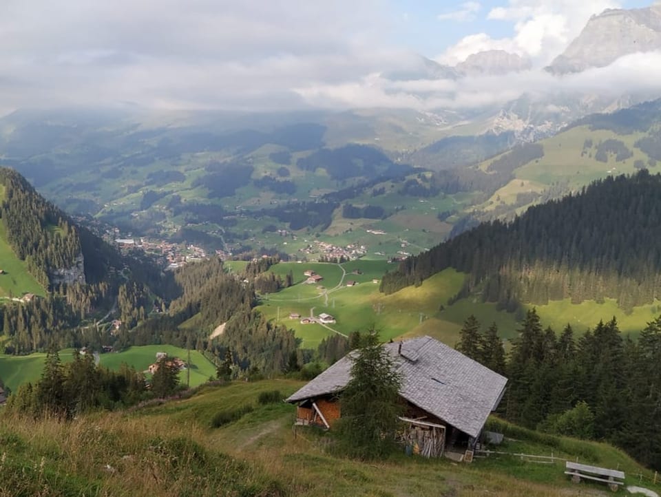Blich von der Alp auf das Dorf Adelboden im Tal.