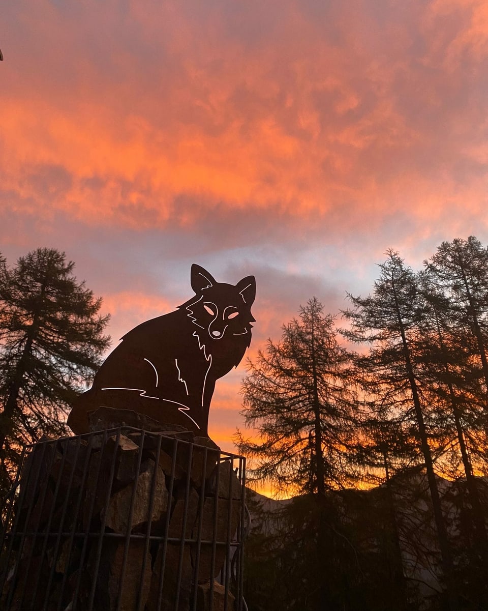 Fuchsfigur im Sonnenaufgang.