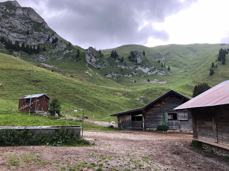 Die Alp Morgeten: Auf einem Plateau, umgeben von steilen Berghängen, stehen mehrere Gebäude wie in einem kleinen Dorf beisammen.
