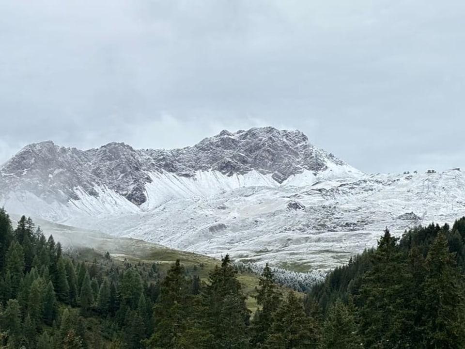 Mit Schnee bedeckte Bergkette hinter bewaldetem Tal.