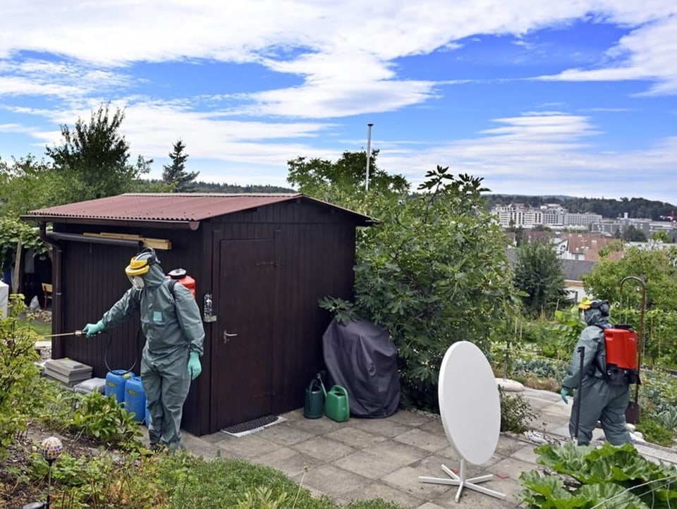Zwei Männer in Schutzanzügen besprühen in einem Schrebergarten Pflanzen mit Pestiziden.