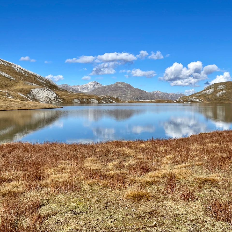 Bergsee mit klarer Spiegelung und grasbewachsenen Ufern.