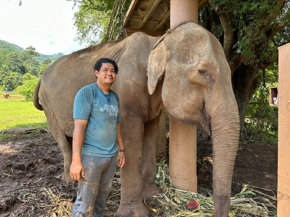 Ein Mann steht neben einem Elefant. 