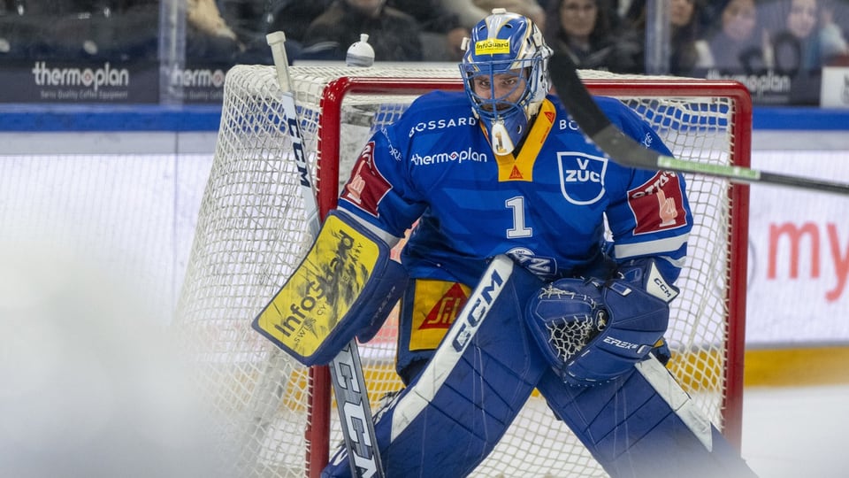 Eishockey-Torwart in blauer Uniform im Tor.