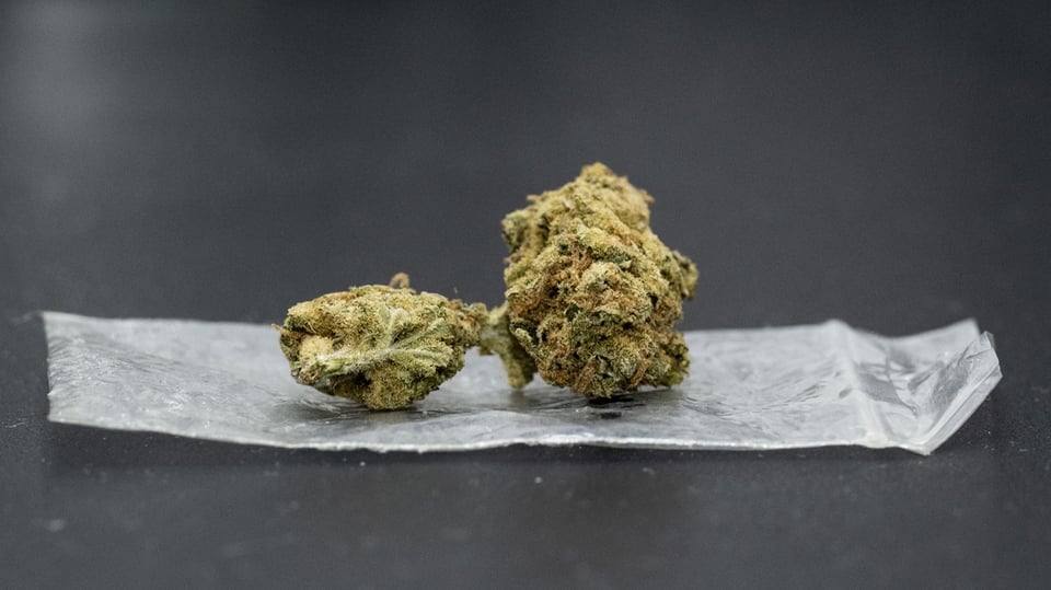 Zwei Stücke Cannabis liegen auf einem schmalen Plastik-Säckli, das wiederum auf einem dunkelgrauen Tisch liegt.
