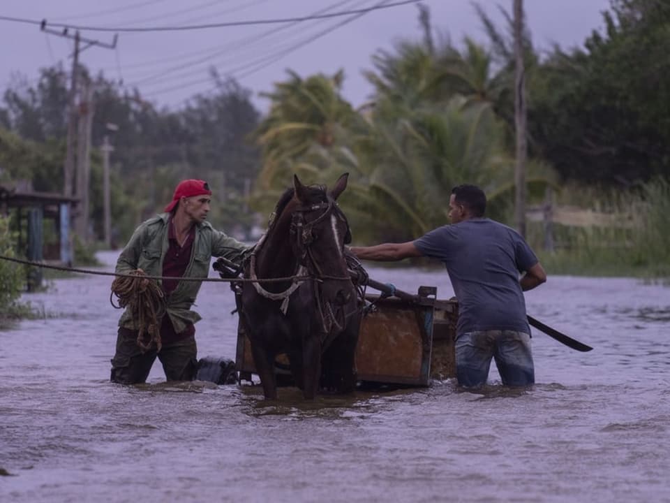 Zwei Männer und ein Pferdewagen im Hochwasser auf einer überschwemmten Strasse.