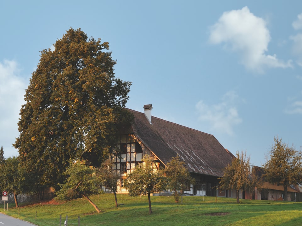 Ein grosses Bauernhaus mit viel Umschwung.